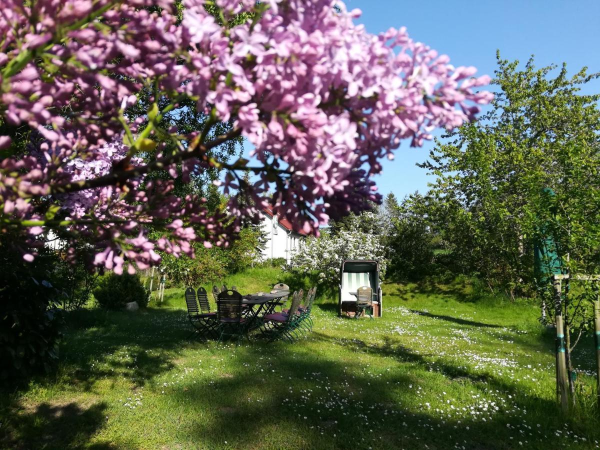 Wirtshaus Neuenkirchen Hotel Neuenkirchen auf Rugen ภายนอก รูปภาพ