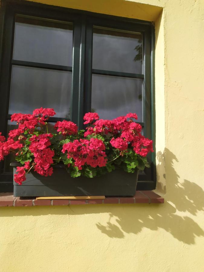 Wirtshaus Neuenkirchen Hotel Neuenkirchen auf Rugen ภายนอก รูปภาพ